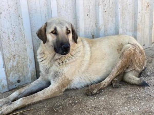 Fikret wartet schon lange