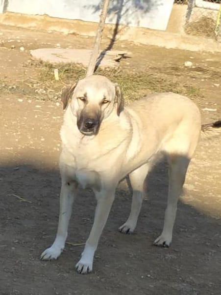 Fikret wartet schon lange