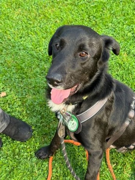 Jasko möchte mit die Welt entdecken.