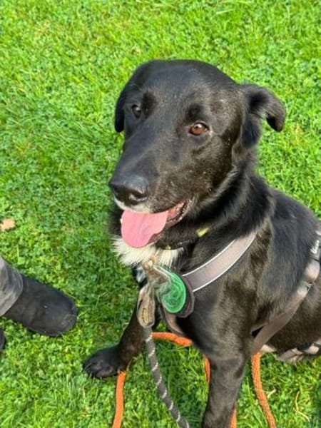 Jasko möchte mit die Welt entdecken.