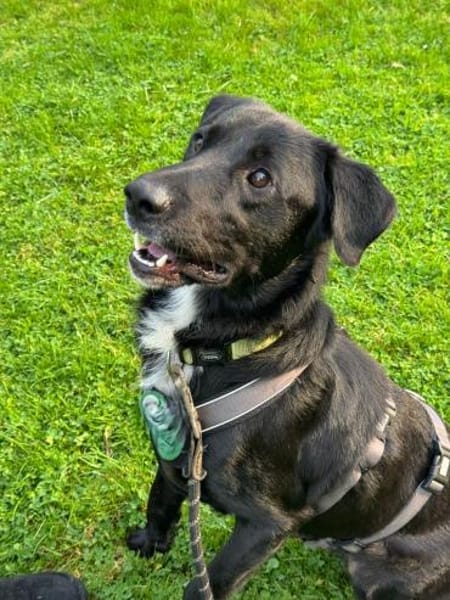 Jasko möchte mit die Welt entdecken.