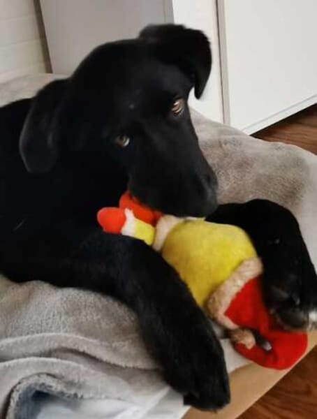 MIKE * magischer Musterschüler