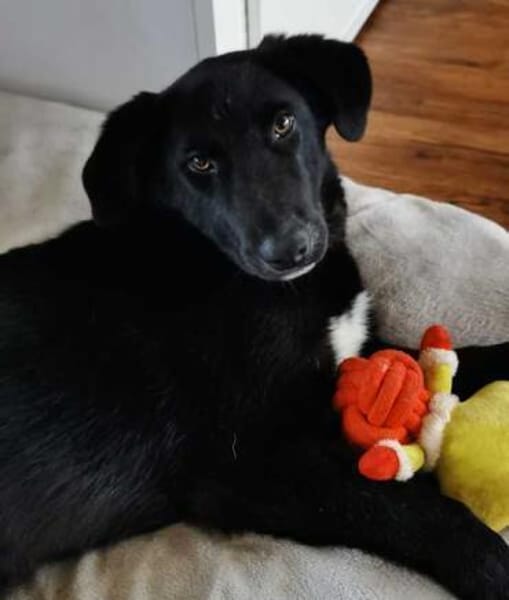 MIKE * magischer Musterschüler