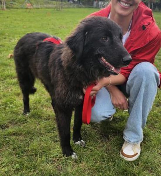 Pina - lieb, verspielt & ausgeglichen