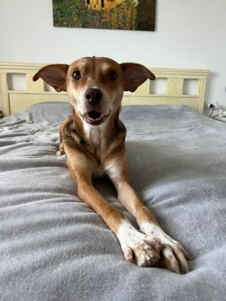 zauberhafte Lara wartet in BY