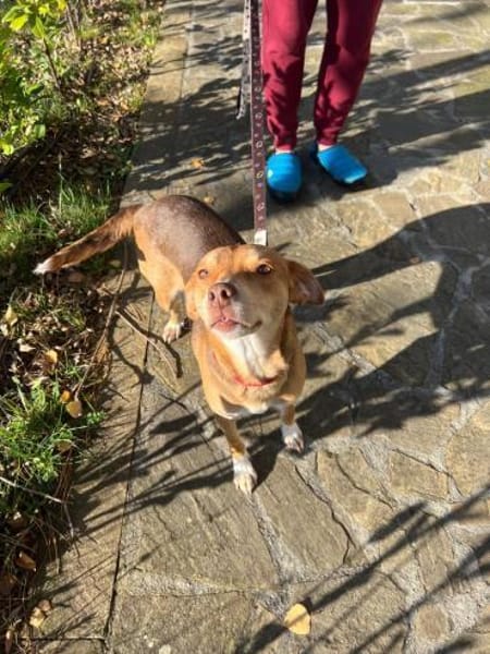 zauberhafte Lara wartet in BY