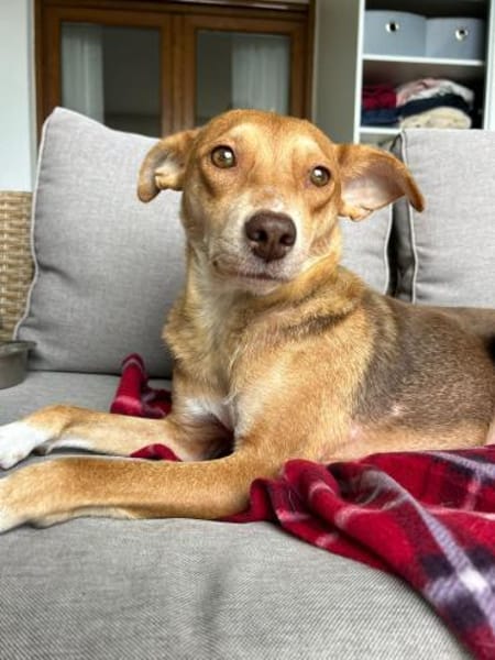 zauberhafte Lara wartet in BY