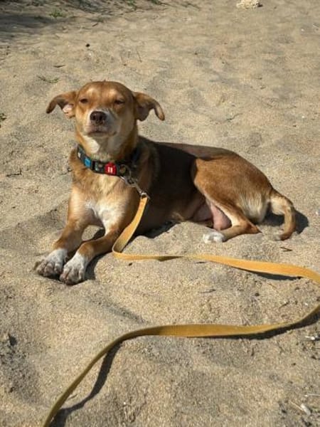 zauberhafte Lara wartet in BY