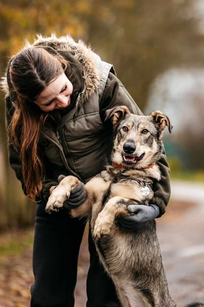 Lustige Maya sucht ihre Familie
