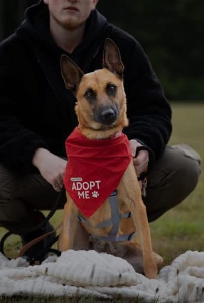 Unsere Lucy sucht ihr eigenes Zuhause