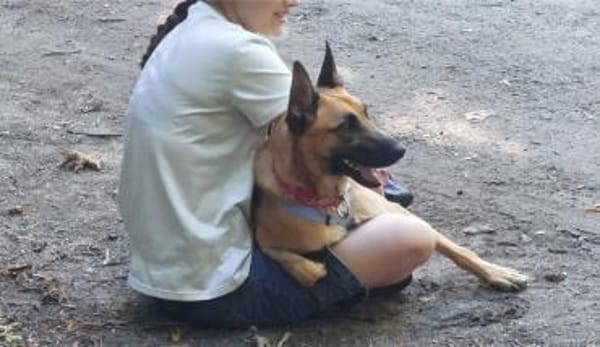 Unsere Lucy sucht ihr eigenes Zuhause