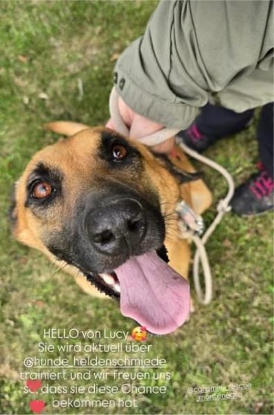 Unsere Lucy sucht ihr eigenes Zuhause