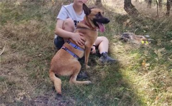 Unsere Lucy sucht ihr eigenes Zuhause