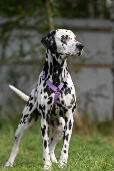 Selbstbewusste Gloria sucht dich!