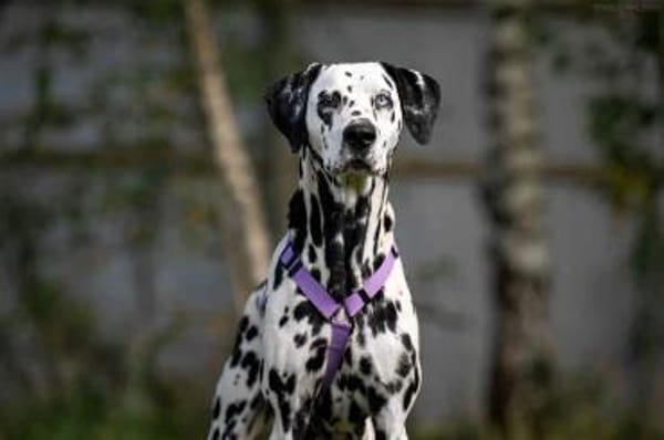 Selbstbewusste Gloria sucht dich!