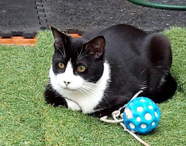 Schatz Biky bei FFM(ALO)