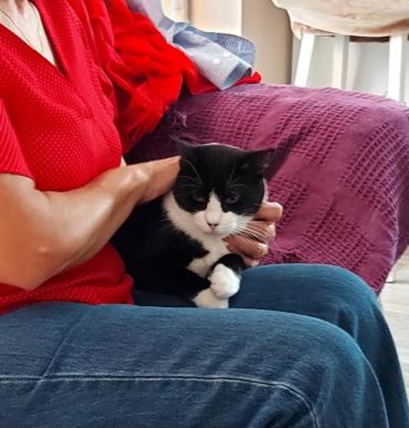 Schatz Biky bei FFM(ALO)