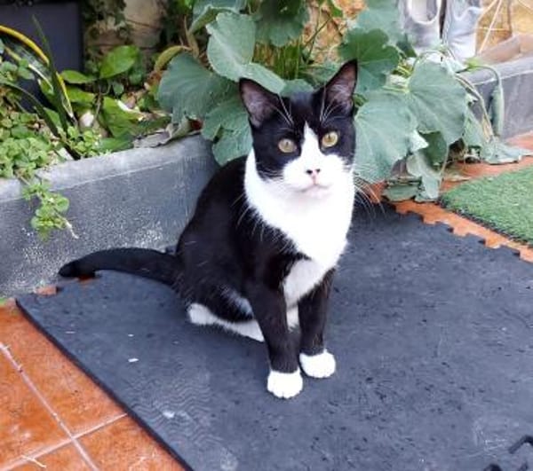 Schatz Biky bei FFM(ALO)