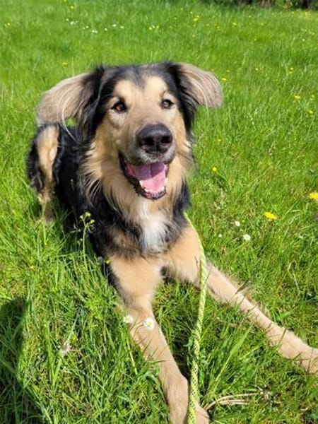 Jumper, Rohdiamant mit viel Potential