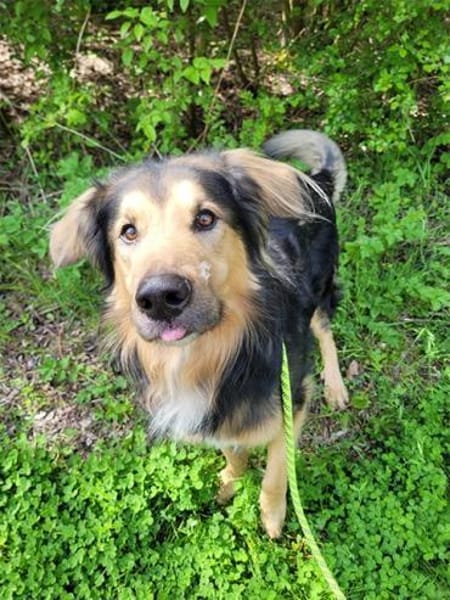 Jumper, Rohdiamant mit viel Potential