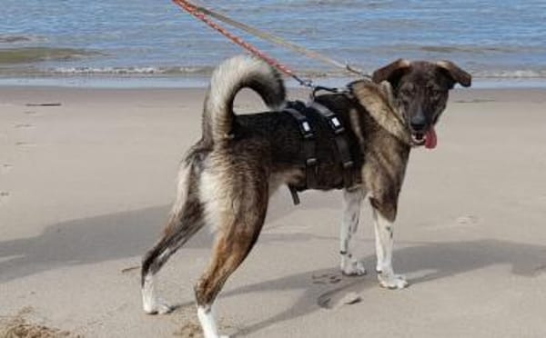 Bria möchte endlich ankommen