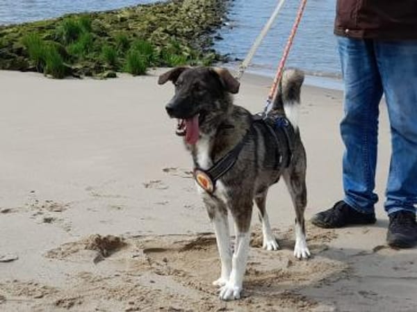 Bria möchte endlich ankommen