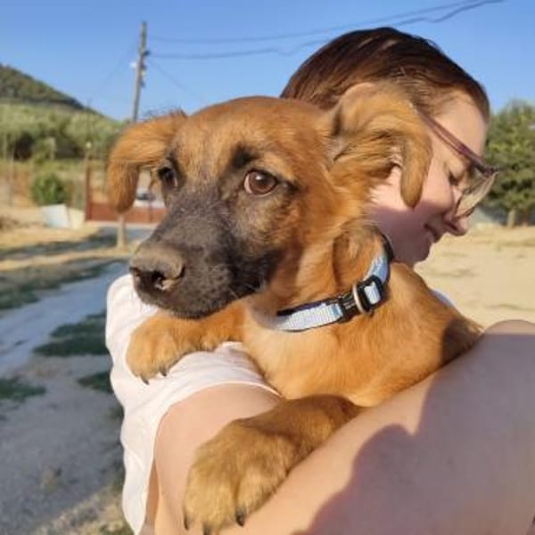 Mezcal - kleiner, junger Bub