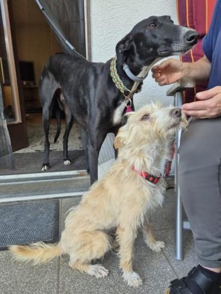 Turpi1 sucht ein Zuhause