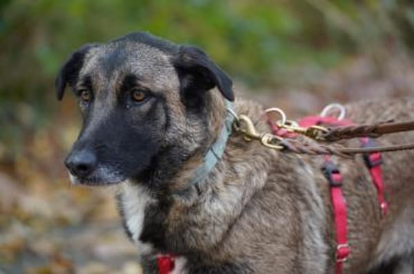 Kusama sucht ihr Zuhause