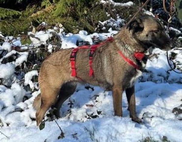 Kusama sucht ihr Zuhause