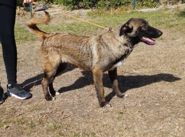 Kusama sucht ihr Zuhause