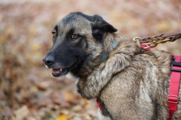 Kusama sucht ihr Zuhause