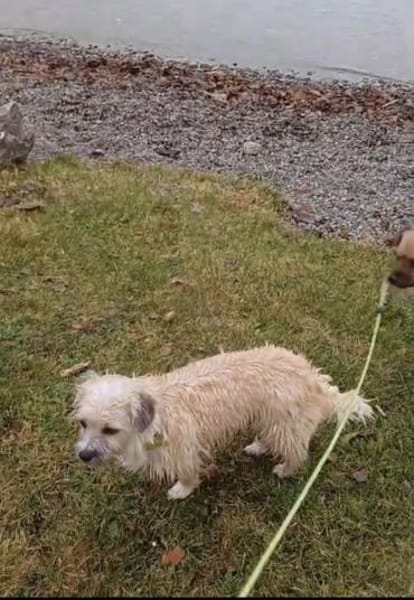 CHI CHI ganz liebes Mädchen