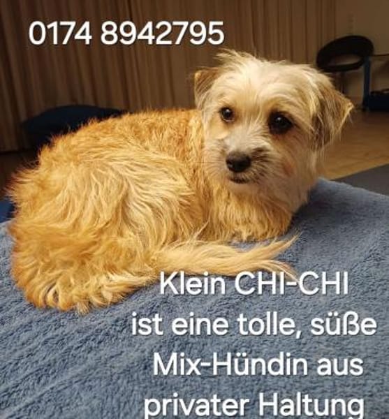 CHI CHI ganz liebes Mädchen