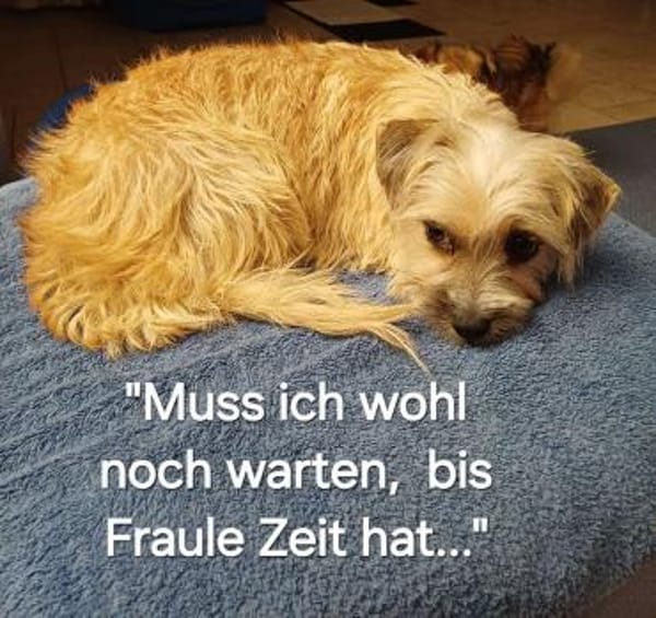 CHI CHI ganz liebes Mädchen