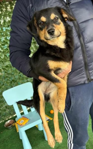 Pandora - Kleine Abenteurerin