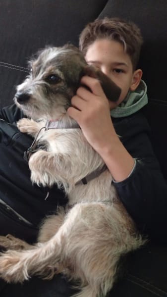 Kuschelherz Baily sucht ihr Zuhause