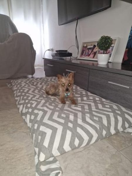 Sissi - einfach weggeworfen - Süße Dame