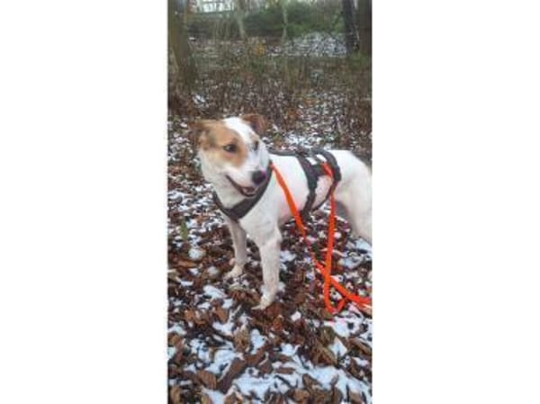 Debbie wartet in 01239 Dresden