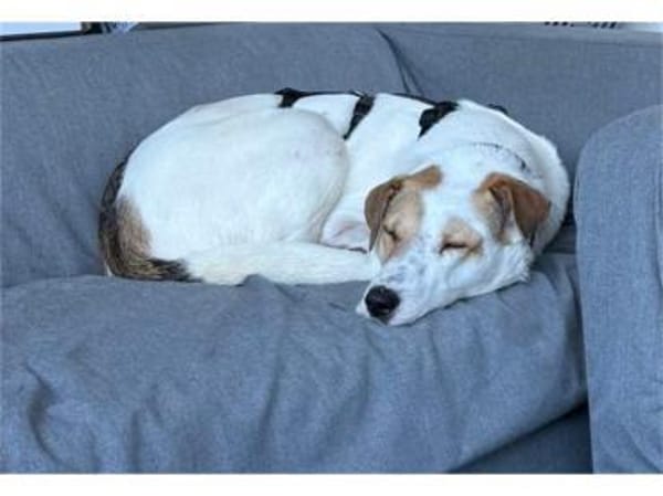 Debbie wartet in 01239 Dresden