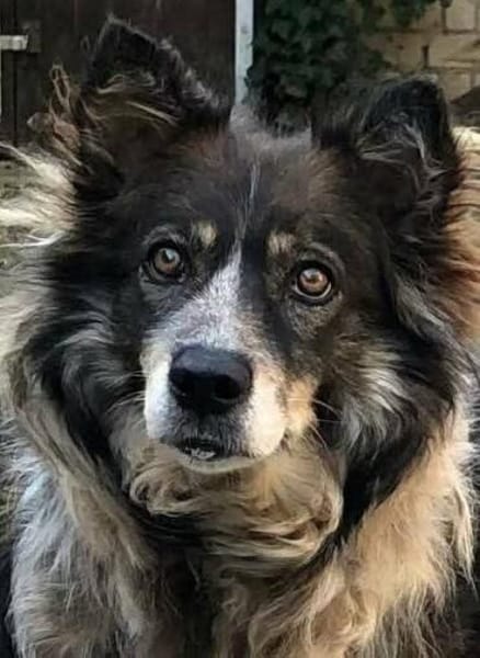 Liebe mal Zwei: Aponi & Chanel warten...