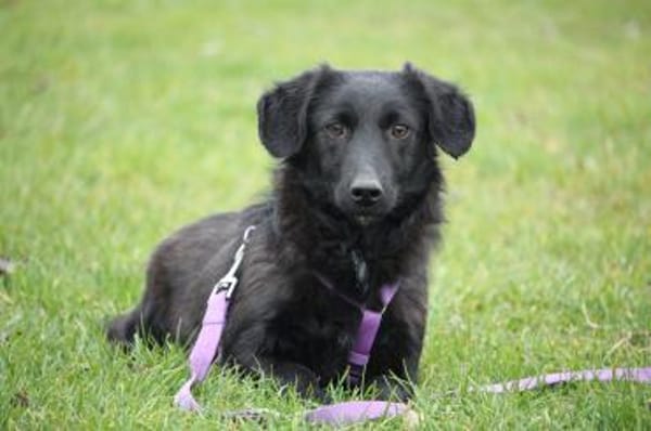 Jana - auf der Suche nach Geborgenheit