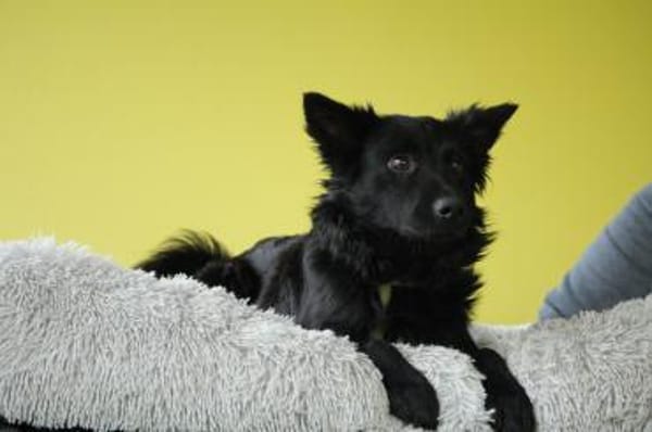 Aylo such seine Herzensmenschen...