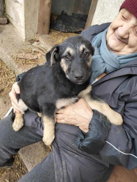 2 Welpenmädchen Coco und Negruta