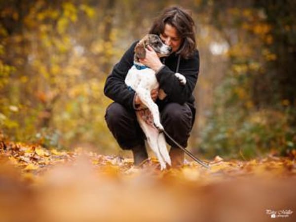 Dario wartet sehnsüchtig auf Sie