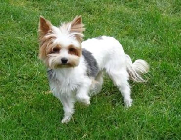 Jolanta  in 47551 Bedburg-Hau