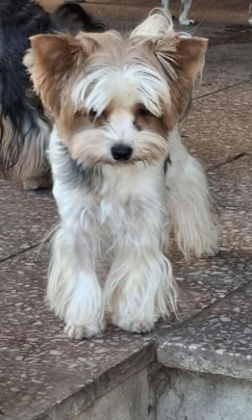 Jolanta  in 47551 Bedburg-Hau