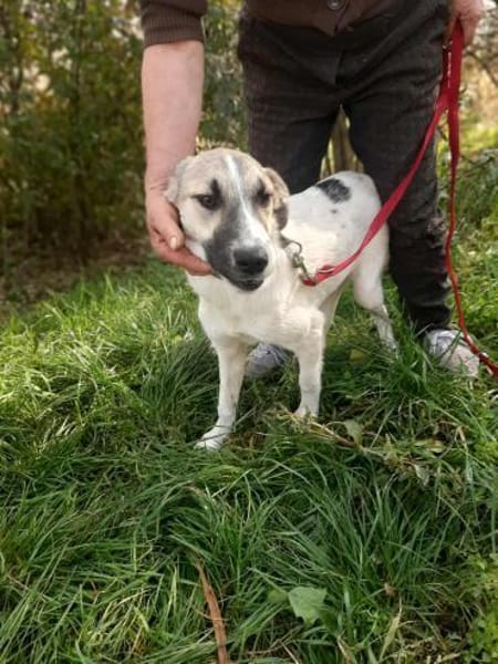 Linda brauacht viel Liebe