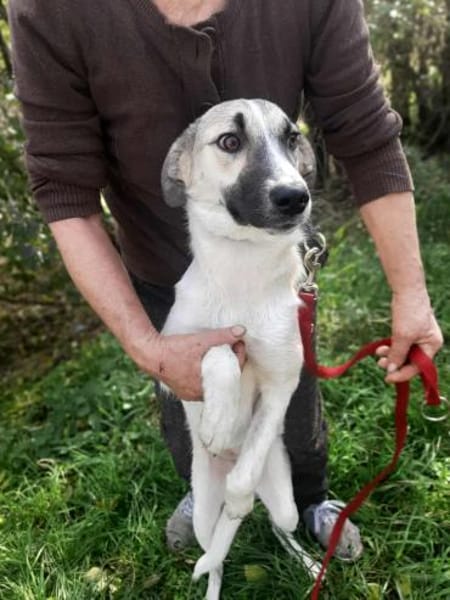 Linda brauacht viel Liebe