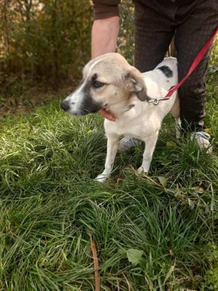 Linda brauacht viel Liebe